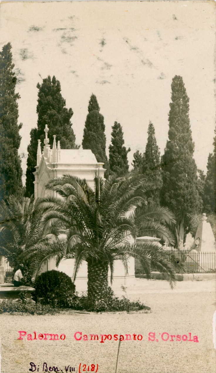 49197619998_fd88ce9c56_o